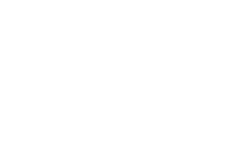 The – Project Logo